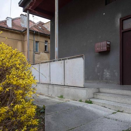 Modern Studio Near British Square Apartment Загреб Екстериор снимка